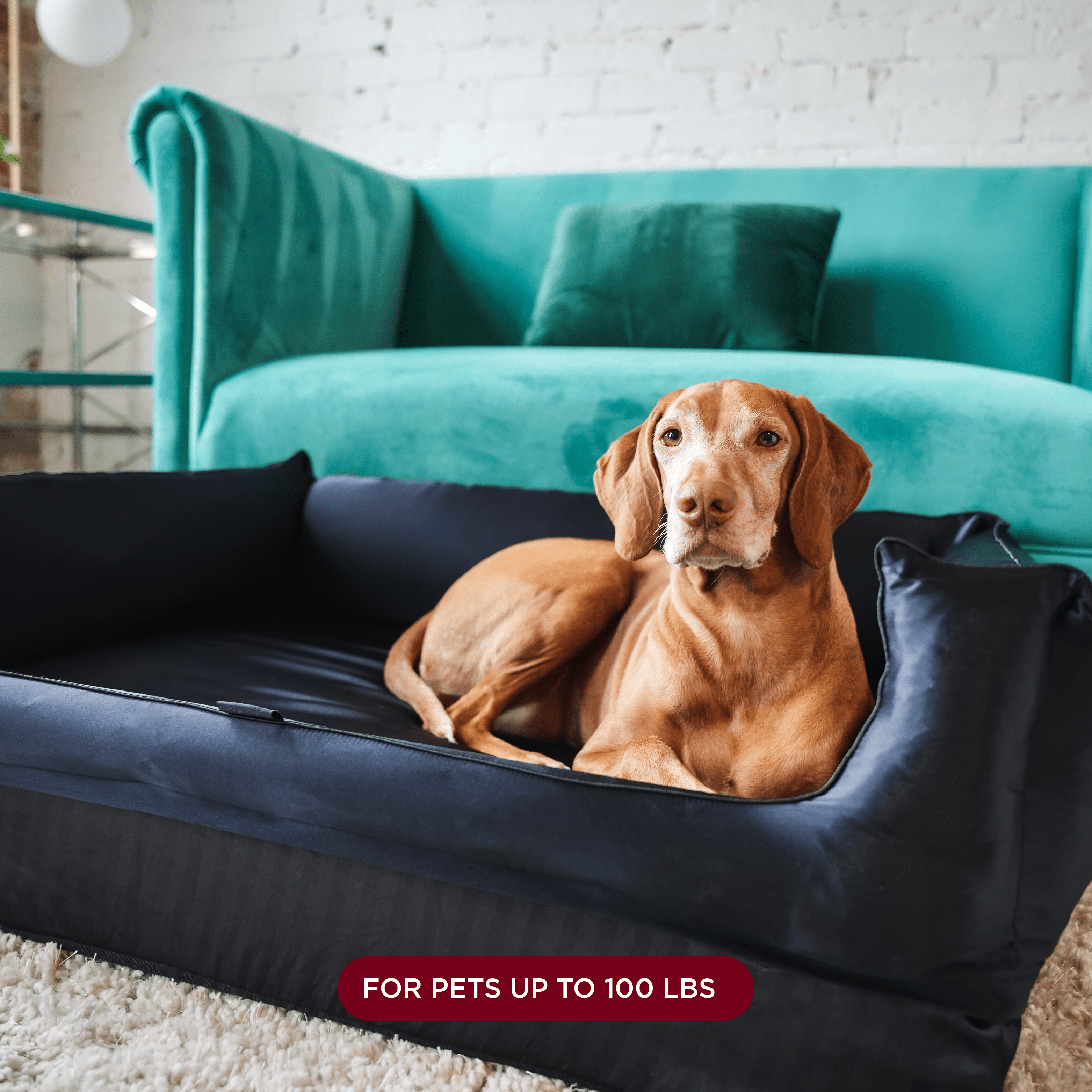 NIGHT Dog Bed Silk Pet Bed