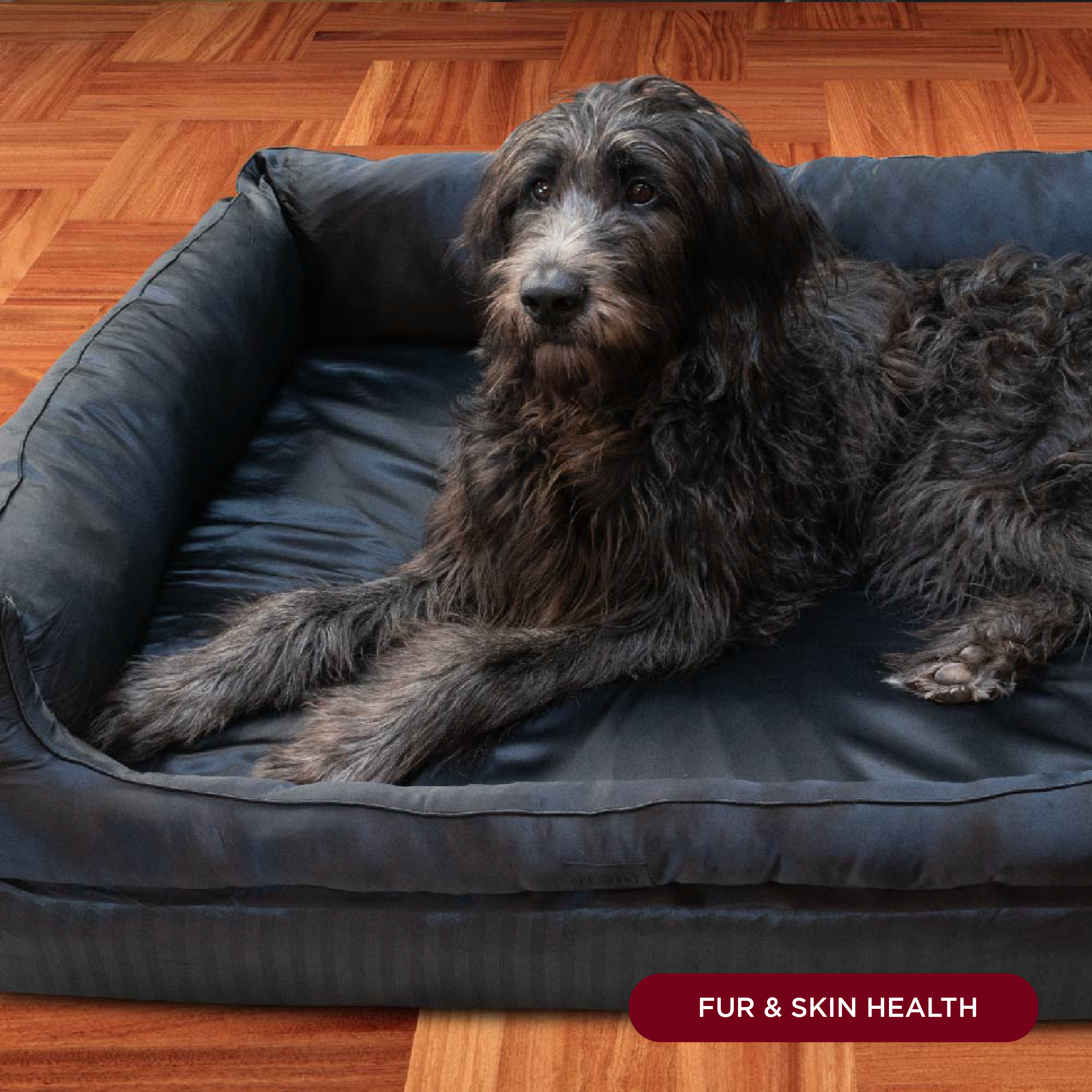 NIGHT Dog Bed Silk Pet Bed