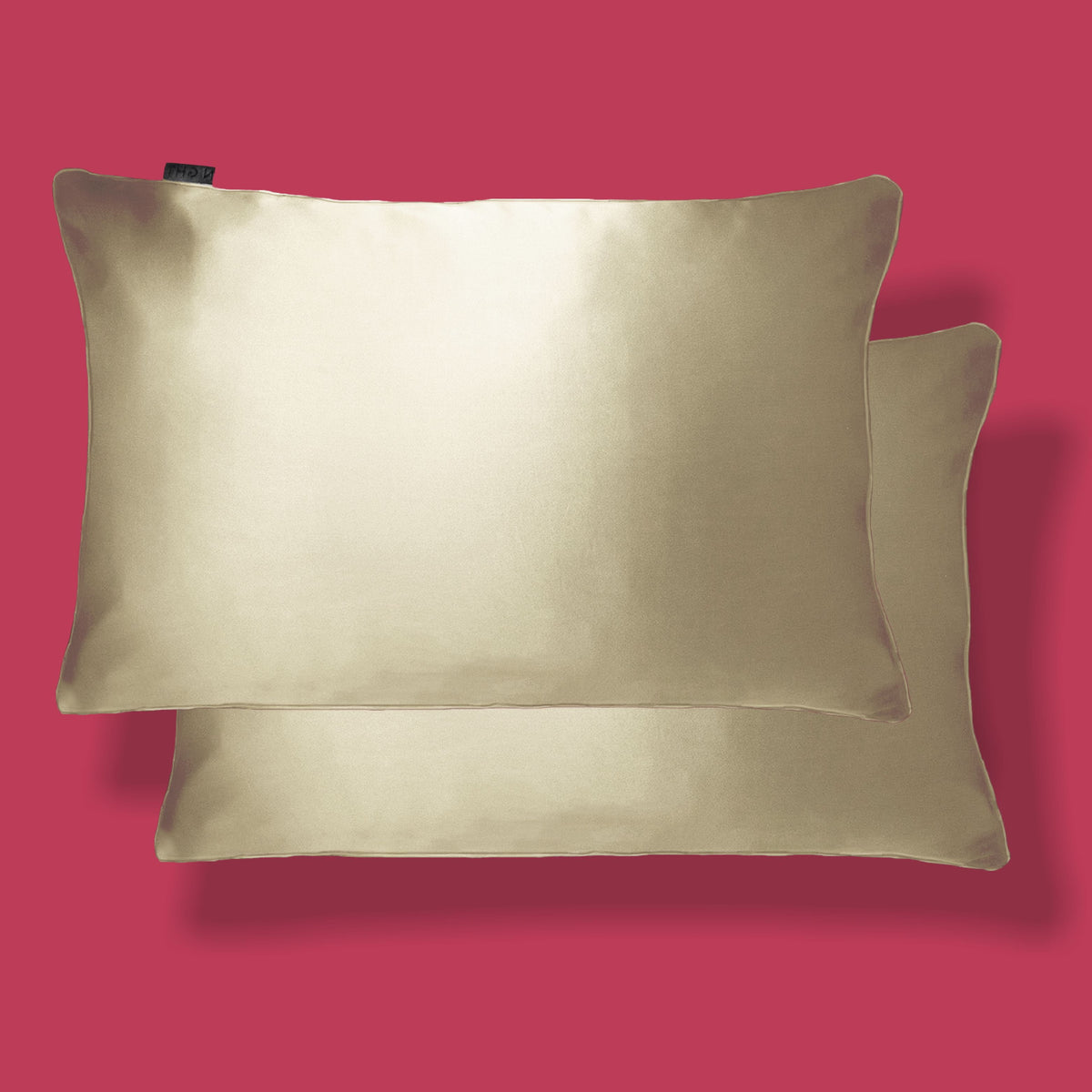 NIGHT PC Silk Std/Qn / Champagne 100% Mulberry Silk Pillowcase, 2 Pack