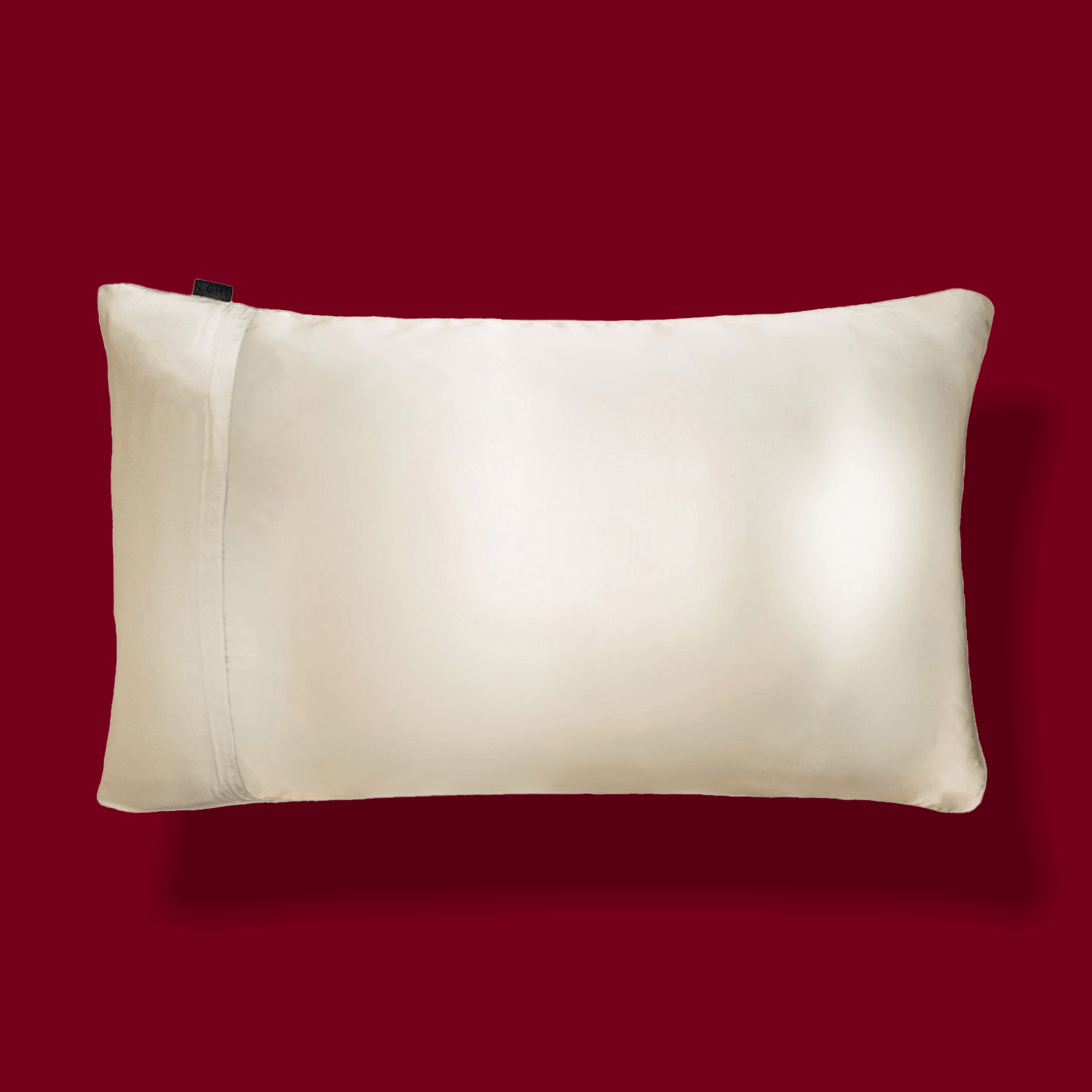 NIGHT PC Silk TriSilk™ Washable Pillowcase